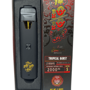 The 10/10 Boys Disposable THC Vape 2G In Pakistan